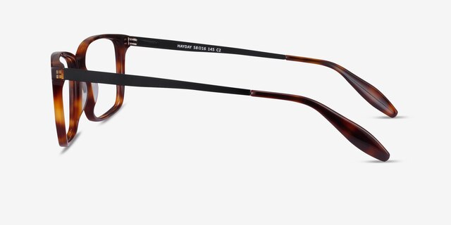 Hayday Tortoise Acetate-metalEyeglass Frames from EyeBuyDirect, Side View