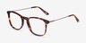 Ratio Tortoise Acetate-metalEyeglass Frames from EyeBuyDirect, Angle View
