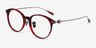 Colette Red Tortoise AcetateEyeglass Frames from EyeBuyDirect, Angle View