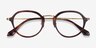 Impact Tortoise AcetateEyeglass Frames from EyeBuyDirect, Closed View