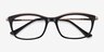 Sina Black Golden AcetateEyeglass Frames from EyeBuyDirect, Closed View