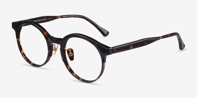 Rochelle Tortoise AcetateEyeglass Frames from EyeBuyDirect, Angle View