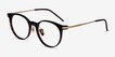 Vast Tortoise Acetate, MetalEyeglass Frames from EyeBuyDirect, Angle View