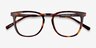 Vibes Tortoise Acetate-metalEyeglass Frames from EyeBuyDirect, Closed View