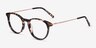 Snap Tortoise Acetate-metalEyeglass Frames from EyeBuyDirect, Angle View