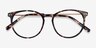 Clever Tortoise Acetate-metalEyeglass Frames from EyeBuyDirect, Closed View