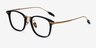 Terra Black Acetate-metalEyeglass Frames from EyeBuyDirect, Angle View