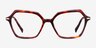 Carmel Tortoise Acetate-metalEyeglass Frames from EyeBuyDirect, Front View