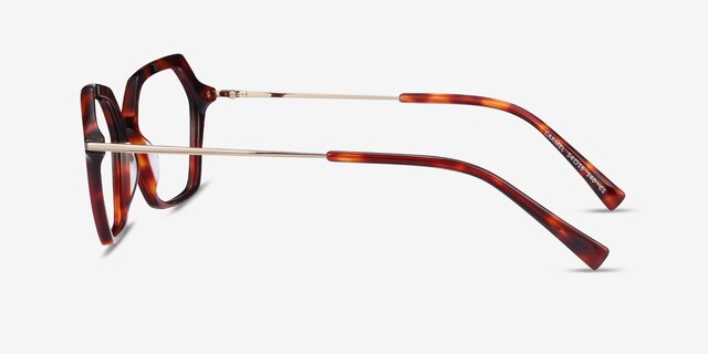 Carmel Tortoise Acetate-metalEyeglass Frames from EyeBuyDirect, Side View