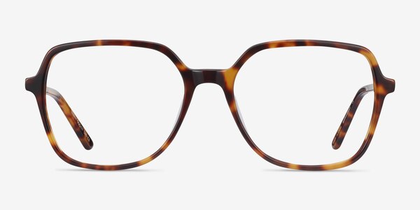 Lenny Tortoise Acetate-metal Eyeglass Frames