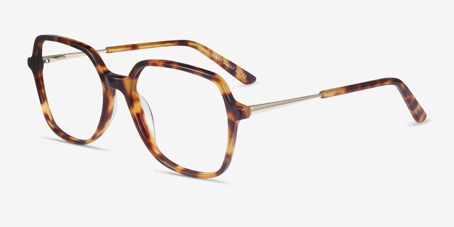 Lenny Tortoise Acetate-metalEyeglass Frames from EyeBuyDirect, Angle View