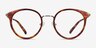 Jezzie Tortoise & Gold Acetate-metalEyeglass Frames from EyeBuyDirect, Front View
