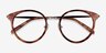 Jezzie Tortoise & Gold Acetate-metalEyeglass Frames from EyeBuyDirect, Closed View