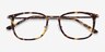 Barnaby Tortoise Acetate-metalEyeglass Frames from EyeBuyDirect, Closed View