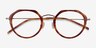 Claire Tortoise  Gold AcetateEyeglass Frames from EyeBuyDirect, Closed View
