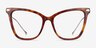 Domy Tortoise Acetate-metalEyeglass Frames from EyeBuyDirect, Front View