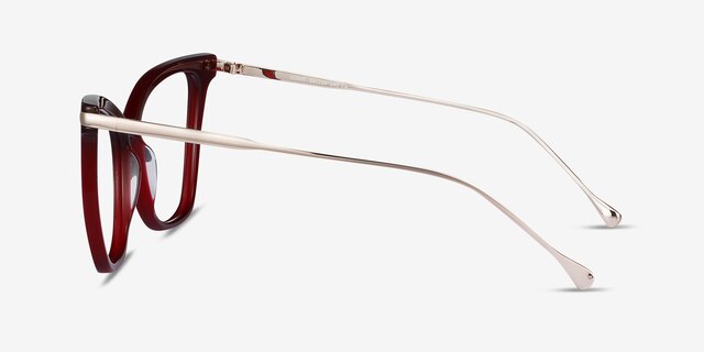Domy Burgundy Acetate-metalEyeglass Frames from EyeBuyDirect, Side View