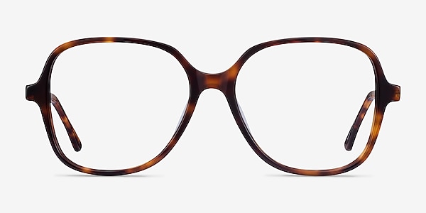 Corey Tortoise Acetate-metal Eyeglass Frames