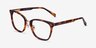 Biblio Tortoise Acetate-metalEyeglass Frames from EyeBuyDirect, Angle View