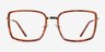 Remi Tortoise Gold AcetateEyeglass Frames from EyeBuyDirect, Front View