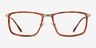 Kairo Tortoise Gold AcetateEyeglass Frames from EyeBuyDirect, Front View
