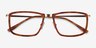 Kairo Tortoise Gold AcetateEyeglass Frames from EyeBuyDirect, Closed View