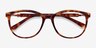Glam Tortoise Acetate-metalEyeglass Frames from EyeBuyDirect, Closed View