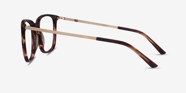 Domenico Tortoise  Gold AcetateEyeglass Frames from EyeBuyDirect, Side View