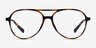 Picture Matte Tortoise   Silver Plastic-metalEyeglass Frames from EyeBuyDirect, Front View