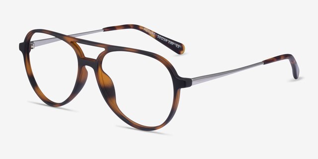 Picture Matte Tortoise   Silver Plastic-metalEyeglass Frames from EyeBuyDirect, Angle View
