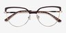 Dona Brown & Gold Acetate-metalEyeglass Frames from EyeBuyDirect, Closed View