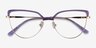 Dona Clear Purple & Gold Acetate-metalEyeglass Frames from EyeBuyDirect, Closed View