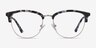 Sophisticated Ivory Tortoise & Silver Acetate-metalEyeglass Frames from EyeBuyDirect, Front View