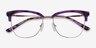 Gala Purple & Gold Acetate-metalEyeglass Frames from EyeBuyDirect, Closed View