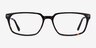 Fusion Tortoise Silver AcetateEyeglass Frames from EyeBuyDirect, Front View