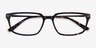 Fusion Tortoise Silver AcetateEyeglass Frames from EyeBuyDirect, Closed View