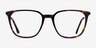 Souvenir Tortoise AcetateEyeglass Frames from EyeBuyDirect, Front View
