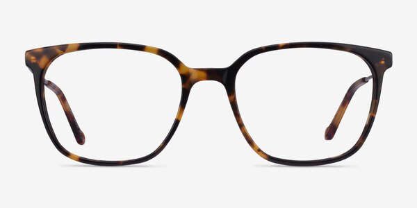 Confident Tortoise Silver Acetate Eyeglass Frames