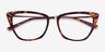 Trenta Tortoise Gold AcetateEyeglass Frames from EyeBuyDirect, Closed View