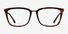 Grande Tortoise Gold AcetateEyeglass Frames from EyeBuyDirect, Front View