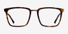 Metaphor Tortoise AcetateEyeglass Frames from EyeBuyDirect, Front View