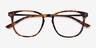 Astute Tortoise AcetateEyeglass Frames from EyeBuyDirect, Closed View