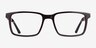 Symbiosis Brown AcetateEyeglass Frames from EyeBuyDirect, Front View