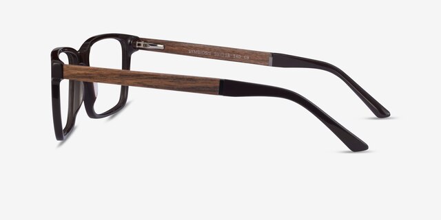 Symbiosis Brown AcetateEyeglass Frames from EyeBuyDirect, Side View