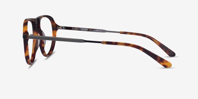 Stratosphere Tortoise Gunmetal AcetateEyeglass Frames from EyeBuyDirect, Side View