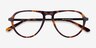 Stratosphere Tortoise Gunmetal AcetateEyeglass Frames from EyeBuyDirect, Closed View