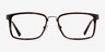 Shibui Tortoise AcetateEyeglass Frames from EyeBuyDirect, Front View