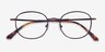 Otaku Tortoise Red Copper AcetateEyeglass Frames from EyeBuyDirect, Closed View