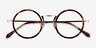 Nagoya Tortoise Gold AcetateEyeglass Frames from EyeBuyDirect, Closed View