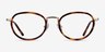 Myoko Tortoise Gold AcétateMontures de lunettes de vue d'EyeBuyDirect, Vue de Face